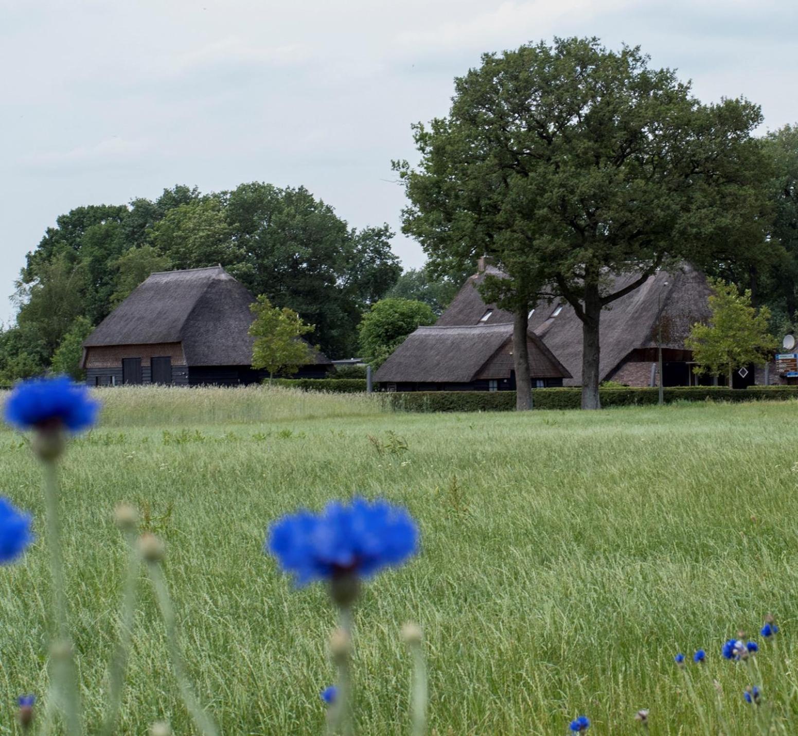 Gastenverblijf Lheederhof Lodge 3 Двінґело Екстер'єр фото